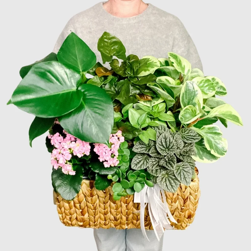 Gratitude Garden