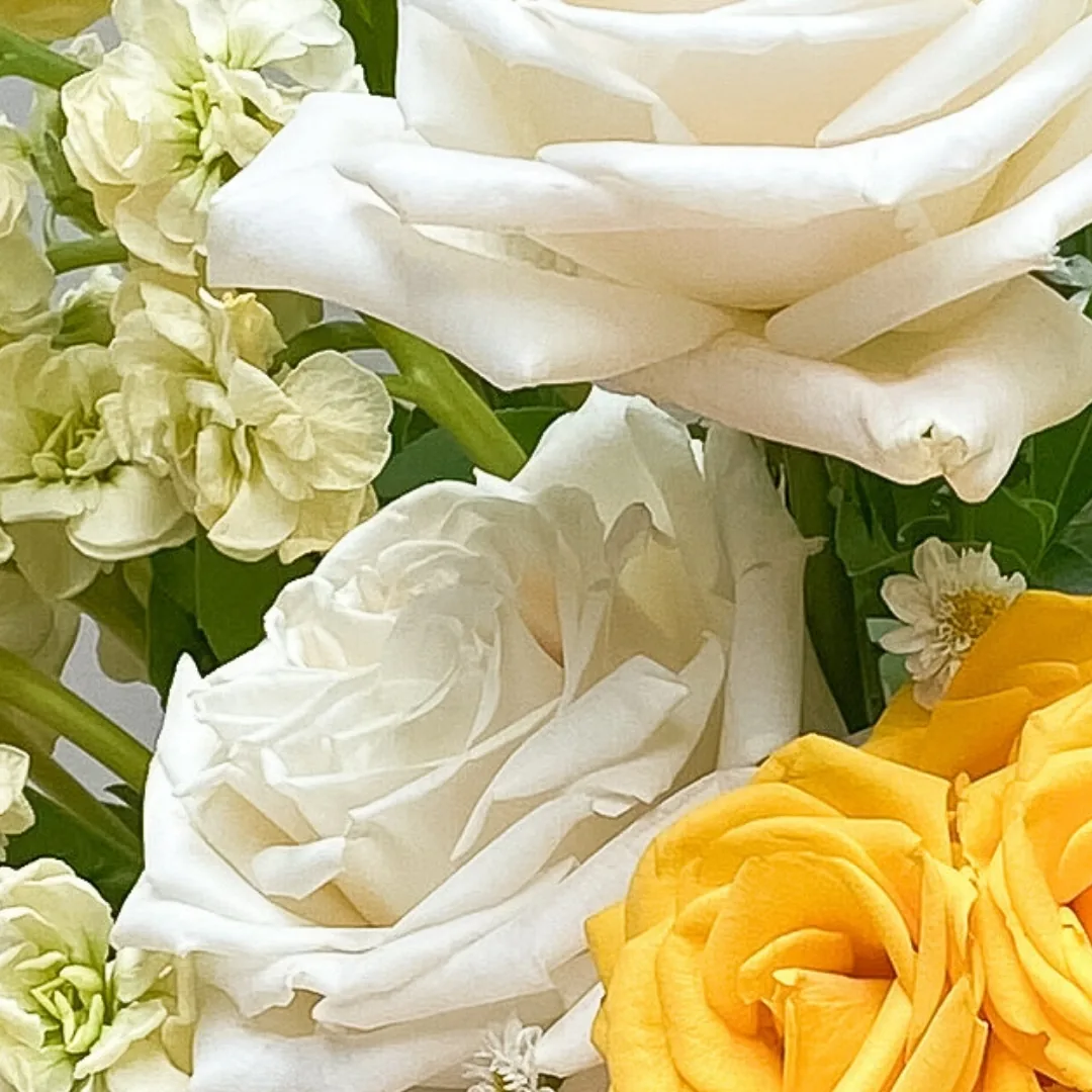 Wild Bloom - Image 3